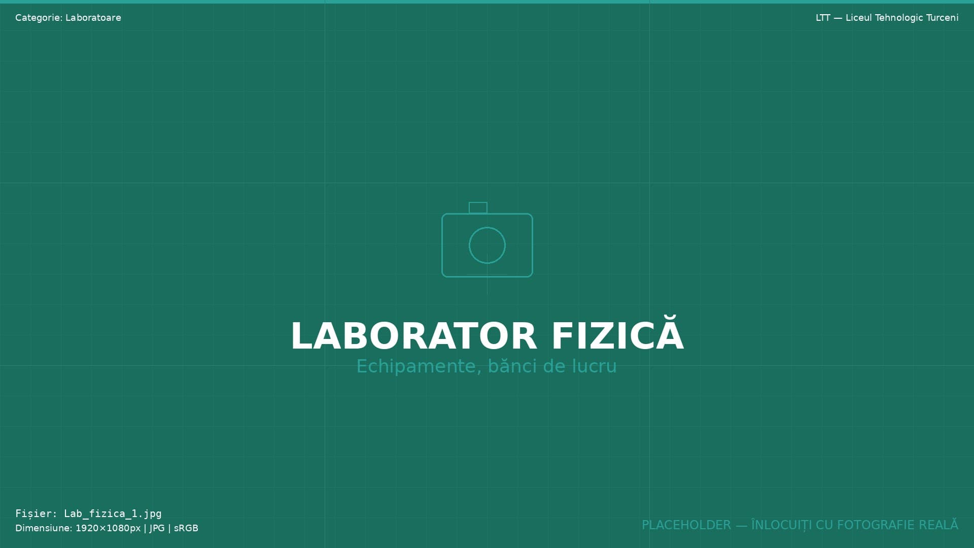 Laboratoare