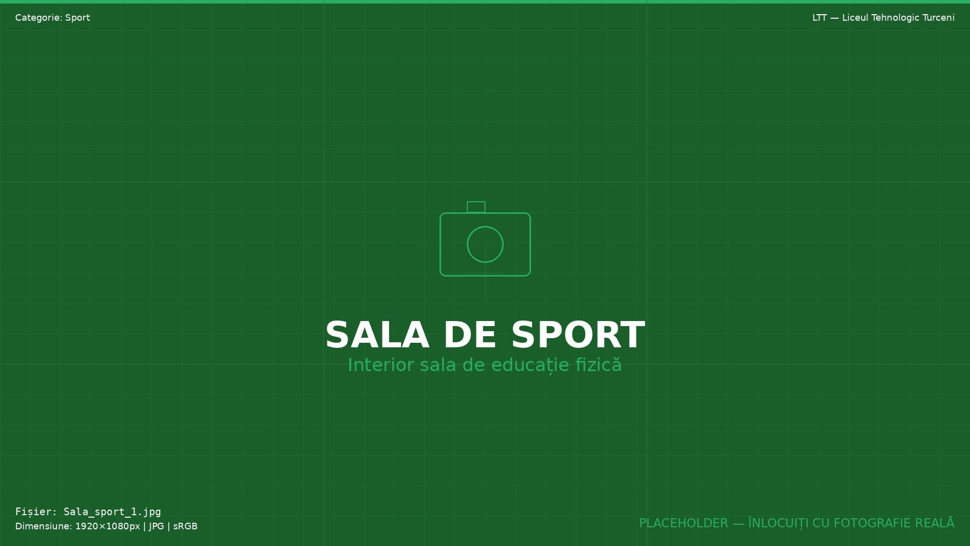 Sport