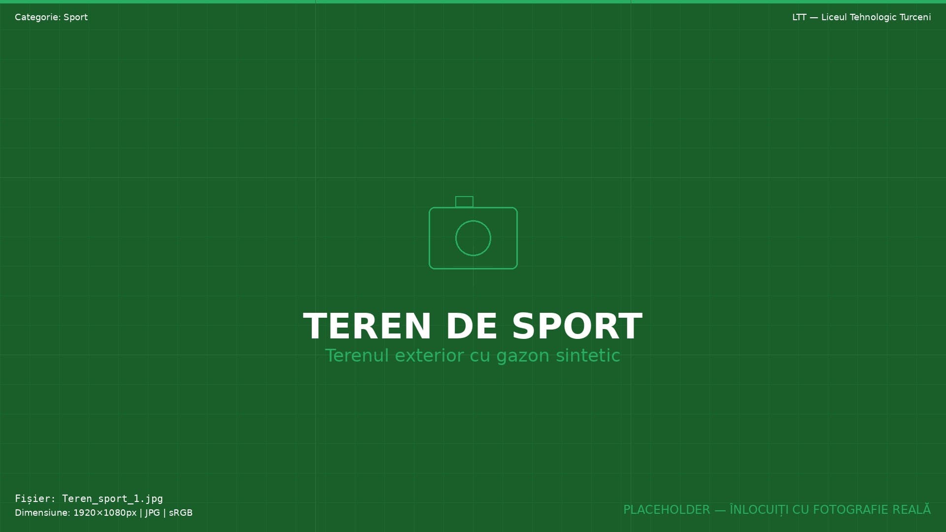 Sport